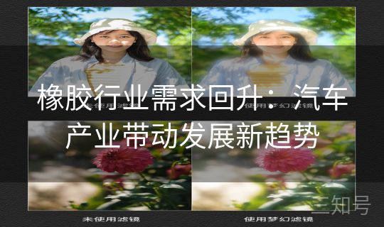 橡胶行业需求回升：汽车产业带动发展新趋势