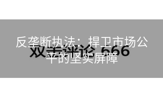 反垄断执法：捍卫市场公平的坚实屏障