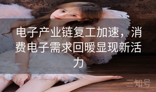 电子产业链复工加速，消费电子需求回暖显现新活力