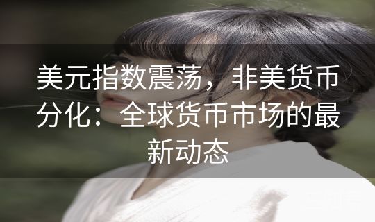 美元指数震荡,非美货币分化:全球货币市场的最新动态 美元指数震荡,非美货币分化:全球货币市场的最新动态