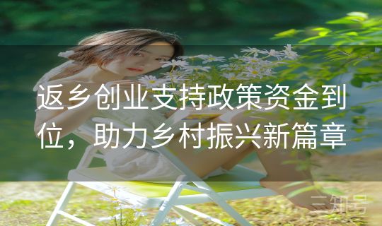 返乡创业支持政策资金到位，助力乡村振兴新篇章