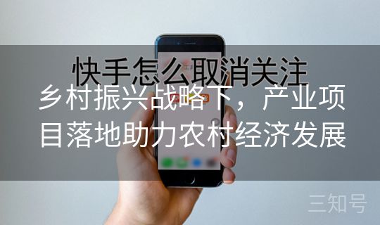 乡村振兴战略下，产业项目落地助力农村经济发展