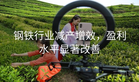 钢铁行业减产增效，盈利水平显著改善