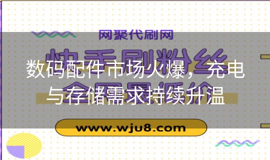 数码配件市场火爆，充电与存储需求持续升温