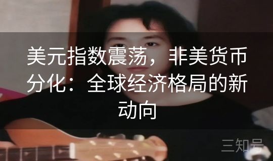 美元指数震荡，非美货币分化：全球经济格局的新动向