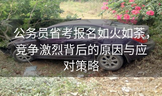 公务员省考报名如火如荼，竞争激烈背后的原因与应对策略