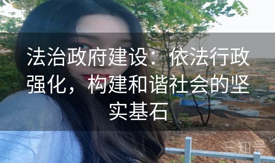 法治政府建设：依法行政强化，构建和谐社会的坚实基石