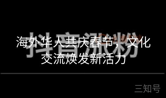 海外华人共庆春节，文化交流焕发新活力