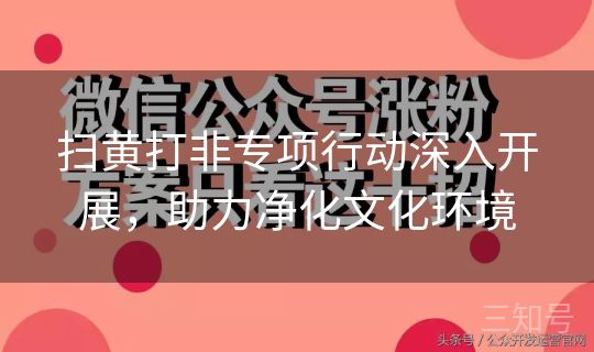 扫黄打非专项行动深入开展，助力净化文化环境