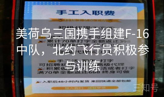 美荷乌三国携手组建F-16中队,北约飞行员积极参与训练 美荷乌三国携手组建F-16中队,北约飞行员积极参与训练