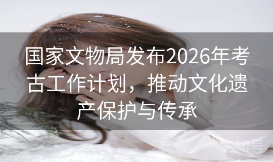 国家文物局发布2026年考古工作计划，推动文化遗产保护与传承