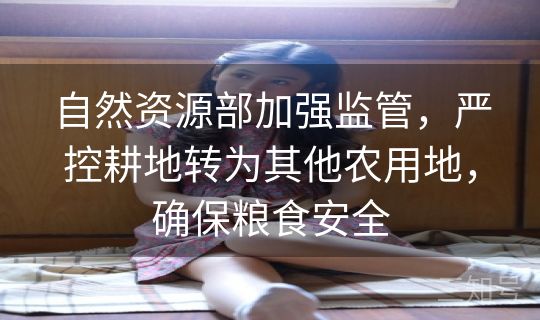 自然资源部加强监管，严控耕地转为其他农用地，确保粮食安全