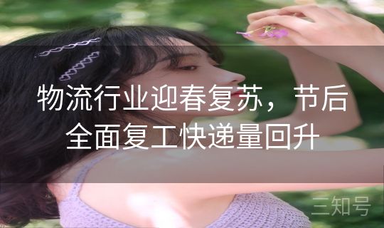物流行业迎春复苏，节后全面复工快递量回升
