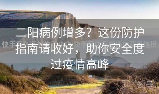 二阳病例增多?这份防护指南请收好,助你安全度过疫情高峰 二阳病例增多?这份防护指南请收好,助你安全度过疫情高峰