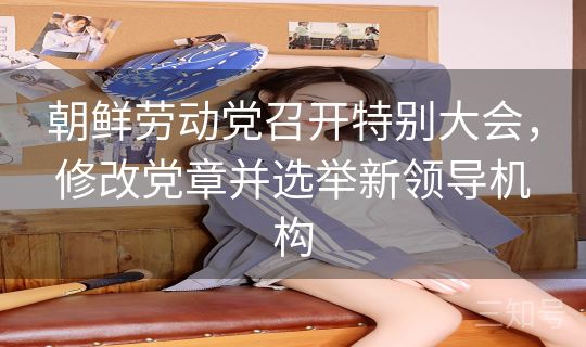 朝鲜劳动党召开特别大会，修改党章并选举新领导机构