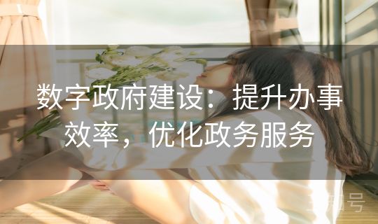 数字政府建设：提升办事效率，优化政务服务