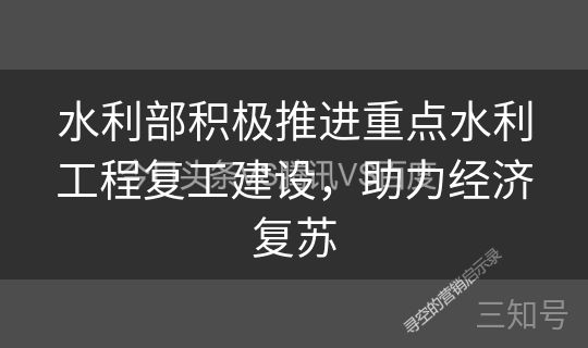 水利部积极推进重点水利工程复工建设,助力经济复苏 水利部积极推进重点水利工程复工建设,助力经济复苏