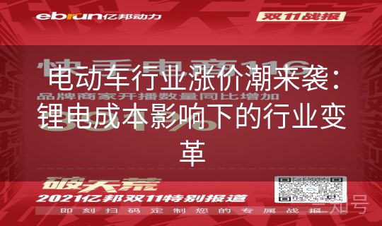电动车行业涨价潮来袭：锂电成本影响下的行业变革