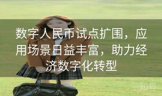 数字人民币试点扩围,应用场景日益丰富,助力经济数字化转型 数字人民币试点扩围,应用场景日益丰富,助力经济数字化转型