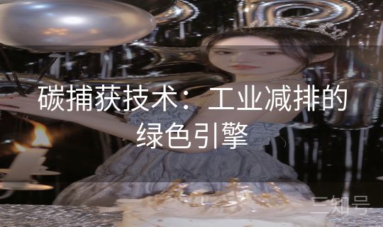 碳捕获技术：工业减排的绿色引擎