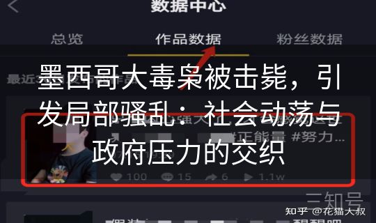 墨西哥大毒枭被击毙,引发局部骚乱:社会动荡与政府压力的交织 墨西哥大毒枭被击毙,引发局部骚乱:社会动荡与政府压力的交织