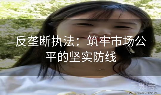 反垄断执法:筑牢市场公平的坚实防线 反垄断执法:筑牢市场公平的坚实防线