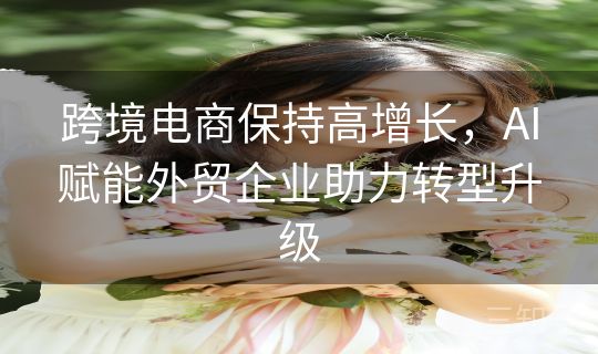 跨境电商保持高增长，AI赋能外贸企业助力转型升级