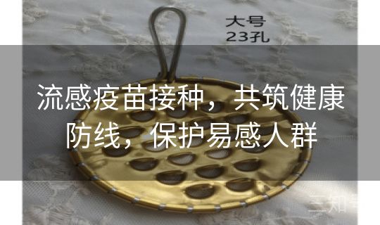 流感疫苗接种，共筑健康防线，保护易感人群