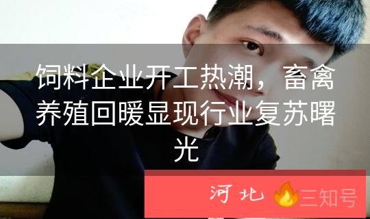 饲料企业开工热潮,畜禽养殖回暖显现行业复苏曙光 饲料企业开工热潮,畜禽养殖回暖显现行业复苏曙光