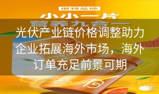 光伏产业链价格调整助力企业拓展海外市场，海外订单充足前景可期