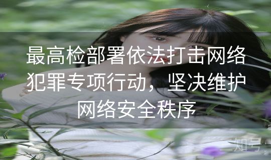 最高检部署依法打击网络犯罪专项行动，坚决维护网络安全秩序