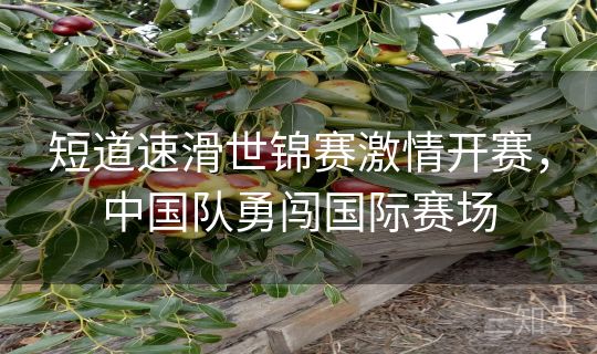 短道速滑世锦赛激情开赛，中国队勇闯国际赛场