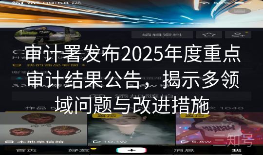 审计署发布2025年度重点审计结果公告，揭示多领域问题与改进措施