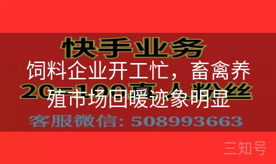 饲料企业开工忙，畜禽养殖市场回暖迹象明显