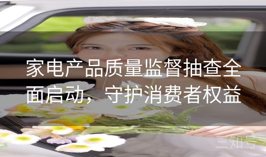 家电产品质量监督抽查全面启动，守护消费者权益