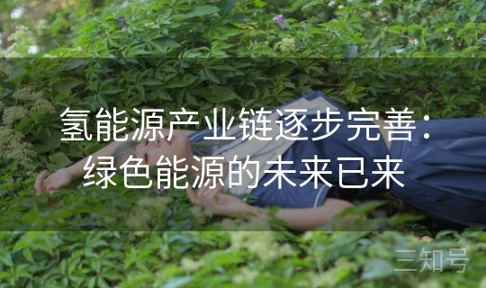 氢能源产业链逐步完善：绿色能源的未来已来
