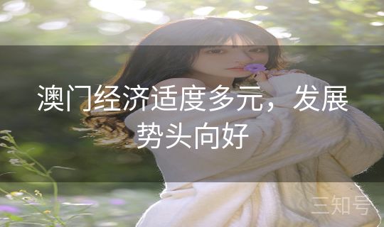 澳门经济适度多元，发展势头向好