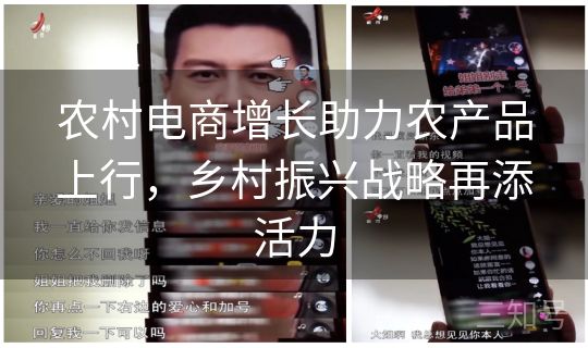 农村电商增长助力农产品上行，乡村振兴战略再添活力