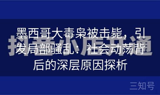 墨西哥大毒枭被击毙，引发局部骚乱：社会动荡背后的深层原因探析