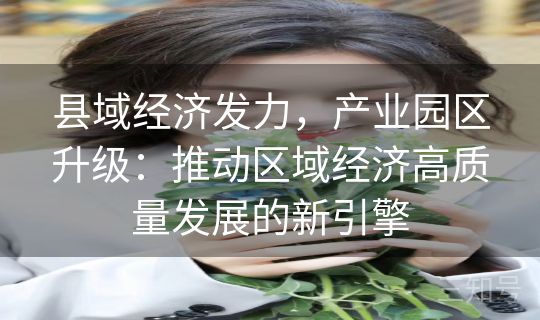 县域经济发力，产业园区升级：推动区域经济高质量发展的新引擎
