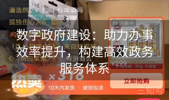 数字政府建设:助力办事效率提升,构建高效政务服务体系 数字政府建设:助力办事效率提升,构建高效政务服务体系