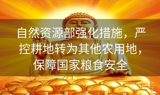 自然资源部强化措施,严控耕地转为其他农用地,保障国家粮食安全 自然资源部强化措施,严控耕地转为其他农用地,保障国家粮食安全