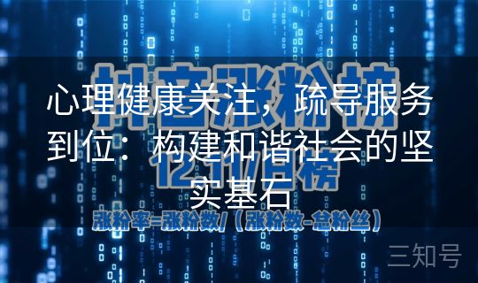 心理健康关注，疏导服务到位：构建和谐社会的坚实基石