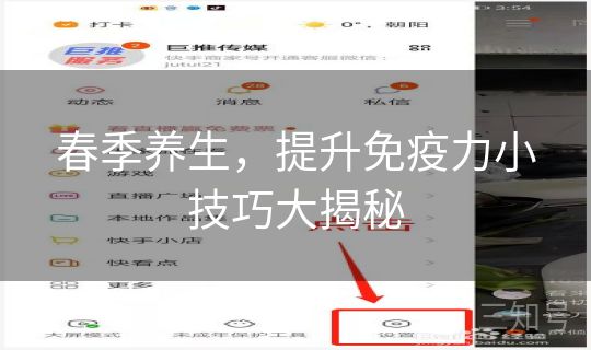 春季养生,提升免疫力小技巧大揭秘 春季养生,提升免疫力小技巧大揭秘