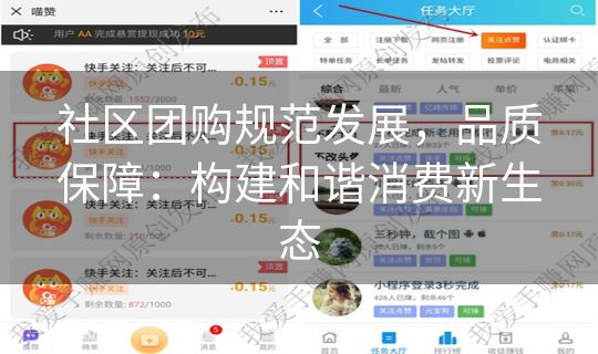 社区团购规范发展，品质保障：构建和谐消费新生态