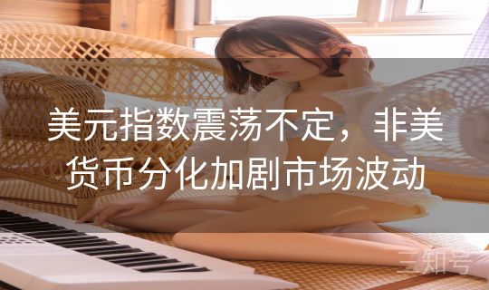 美元指数震荡不定，非美货币分化加剧市场波动