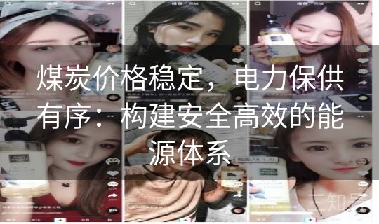 煤炭价格稳定，电力保供有序：构建安全高效的能源体系