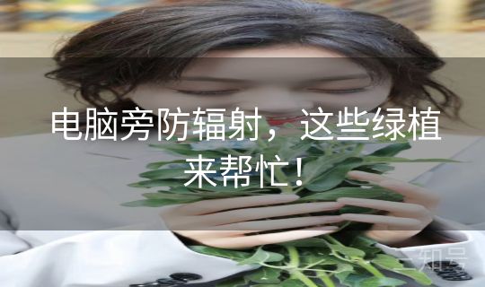 电脑旁防辐射，这些绿植来帮忙！