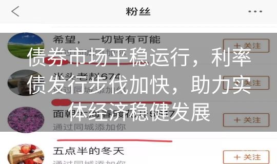 债券市场平稳运行，利率债发行步伐加快，助力实体经济稳健发展