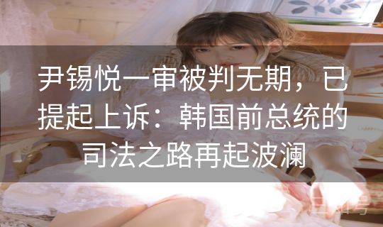 尹锡悦一审被判无期,已提起上诉:韩国前总统的司法之路再起波澜 尹锡悦一审被判无期,已提起上诉:韩国前总统的司法之路再起波澜